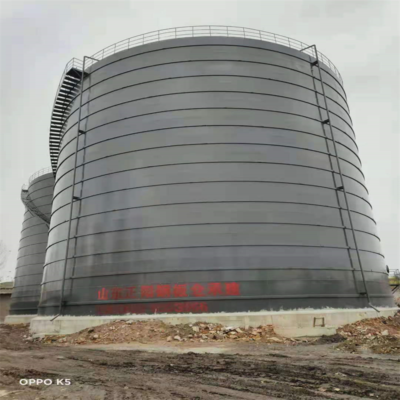 天宁3万吨大型钢板库