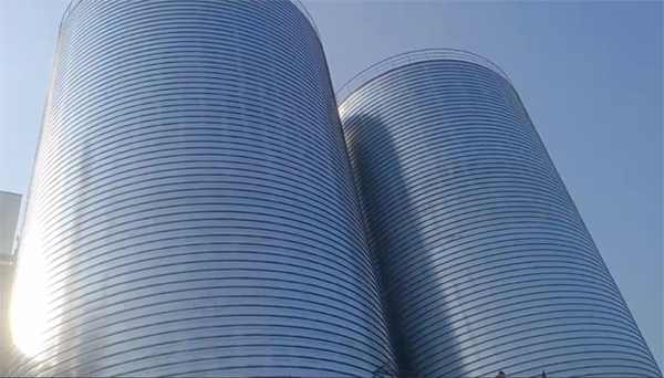 天宁2座混凝土高架卷板仓